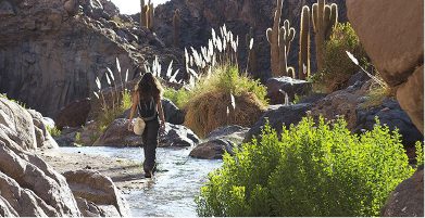 Punta del Inca