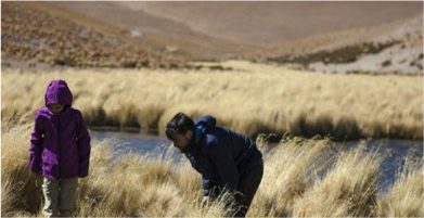 Lagunas Altiplánicas