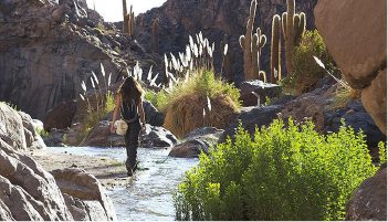 Punta del Inca