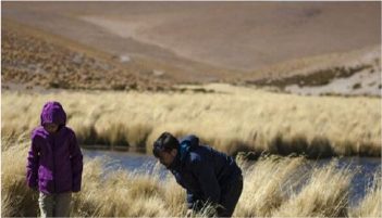 Lagunas Altiplánicas