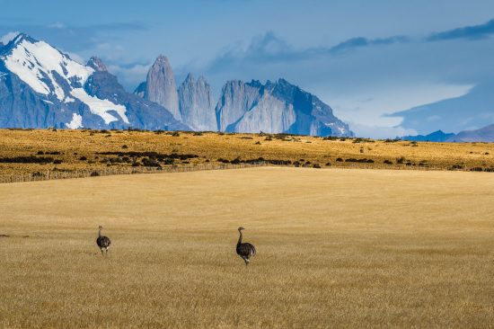 Amongst mountains and gauchos: an incredible journey through time in the  Torres del Paine Conservation Reserve Explora Hotels